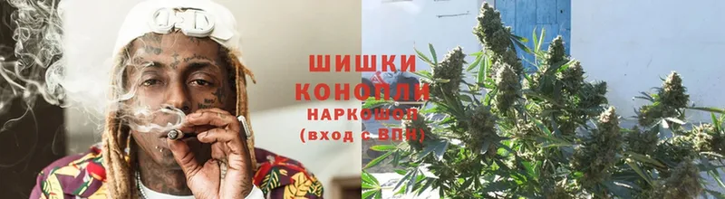 купить наркотики цена  Хотьково  Конопля OG Kush 